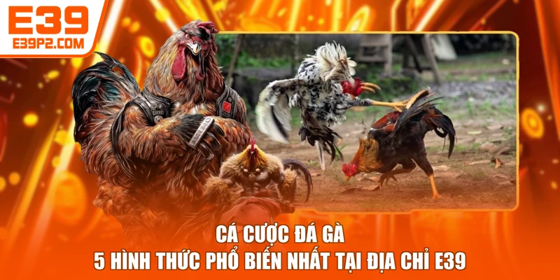 Cá Cược Đá Gà - 5 Hình Thức Phổ Biến Nhất Tại Địa Chỉ E39