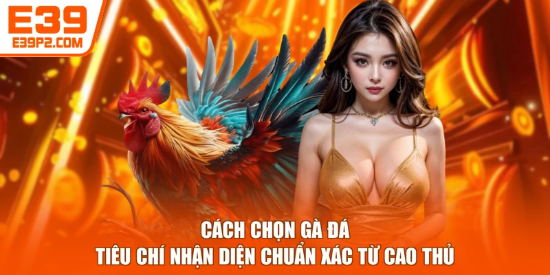 Cách Chọn Gà Đá - Tiêu Chí Nhận Diện Chuẩn Xác Từ Cao Thủ